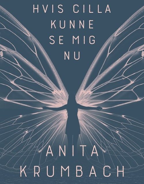 hvis du kunne se mig nu hvis du kunne se mig nu