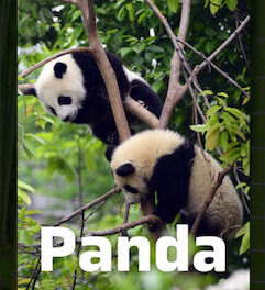 FC Barcelona, Panda og madspild