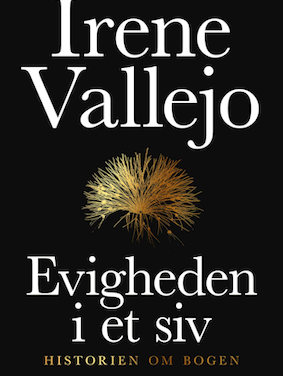 Evigheden i et siv