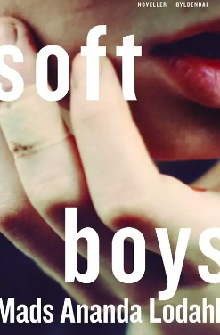 Soft Boys