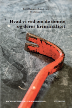 Hvad vi ved om de dømte og deres kriminalitet