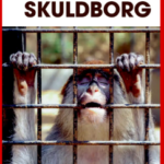 Turen går til Skuldborg