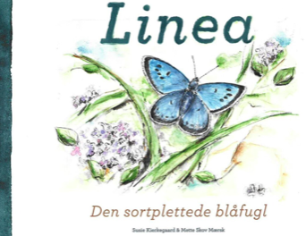 Linea – den sortplettede blåfugl