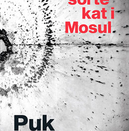 Den sorte kat i Mosul