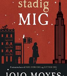stadig MIG