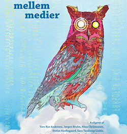 Litteratur mellem medier