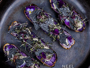 Plantebaseret Gourmet