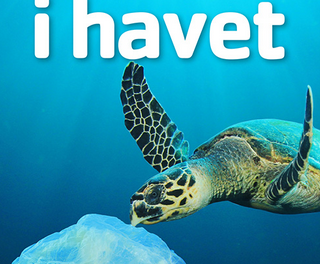Plast i havet