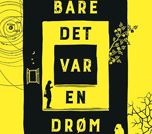 Hvis bare det var en drøm