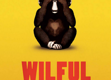 Wilful Blindness