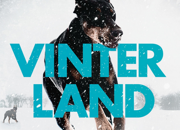 Vinterland