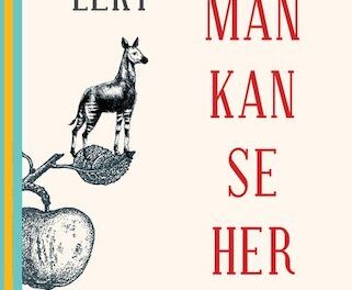 Hvad man kan se herfra
