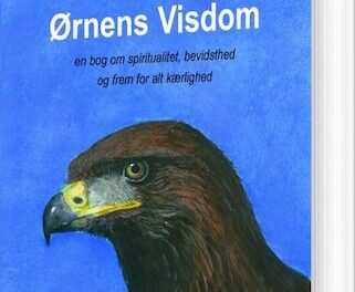 Ørnens visdom
