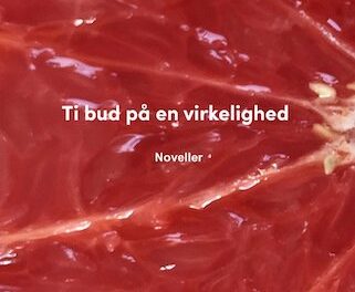 Ti bud på en virkelighed