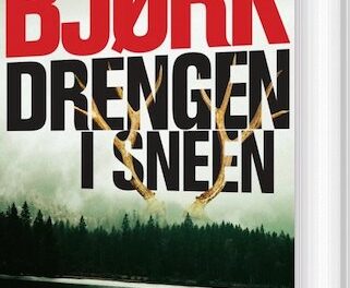 Drengen i sneen