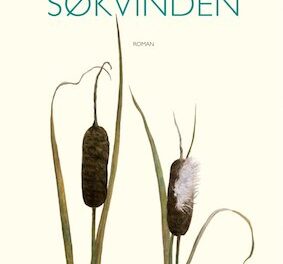 Søkvinden