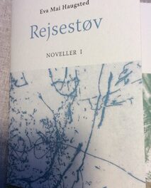 Rejsestøv