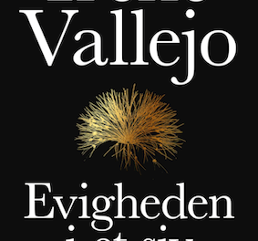 Evigheden i et siv