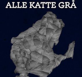 I mørket er alle katte grå