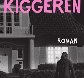 Vindueskiggeren