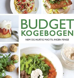 Budgetkogebogen