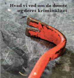 Hvad vi ved om de dømte og deres kriminalitet