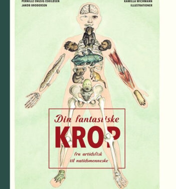 Din fantastiske krop – fra urtidsfisk til nutidsmenneske
