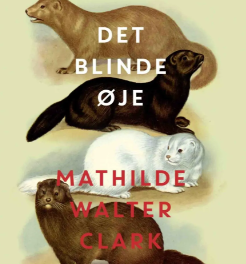 Det blinde øje