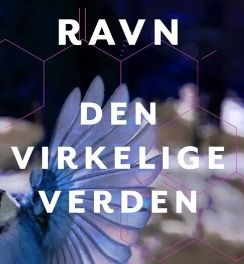 Den virkelige verden