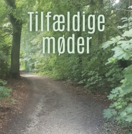 Tilfældige møder