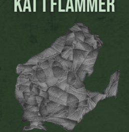 Kat i flammer