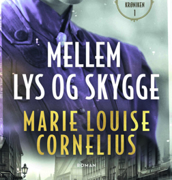 Mellem lys og skygge