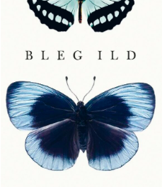 Bleg Ild
