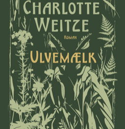 Ulvemælk