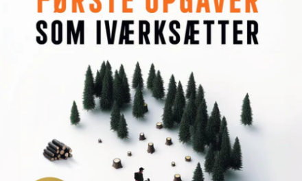 Mine 100 første opgaver som iværksætter