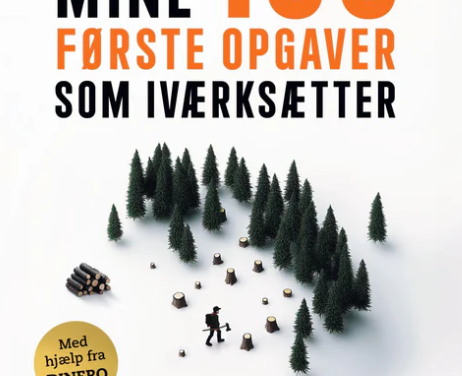 Mine 100 første opgaver som iværksætter