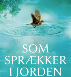 Som sprækker i jorden