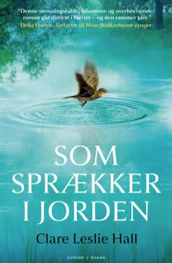 Som sprækker i jorden