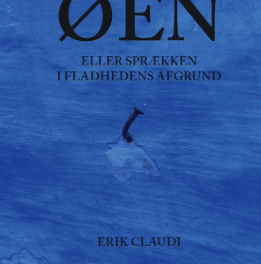 Øen eller sprækken i fladhedens afgrund